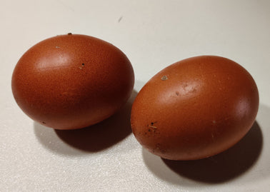 Welsumer ägg